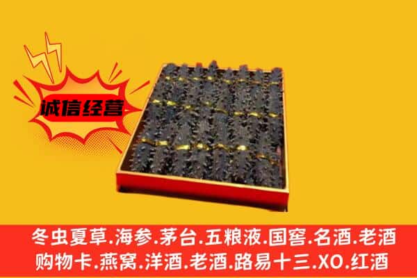 龙岩市长汀回收海参